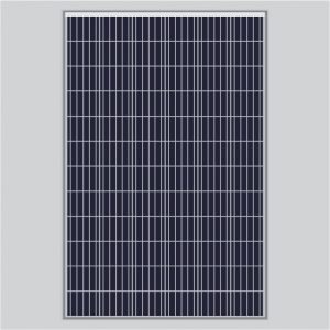 Solar Panel 400 Watt Mono Perc(Pack of two)